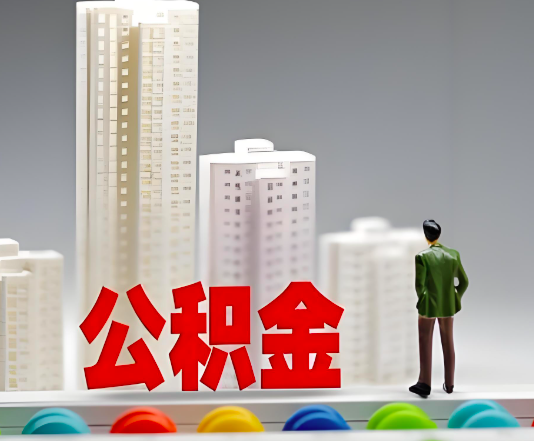 湛江委托他人办理需要提供什么证件。